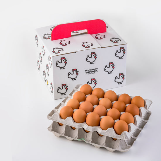 たんぽぽたまご 赤玉40個