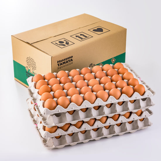 農場より採れたて10キロ箱赤卵