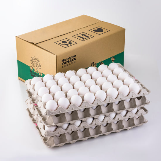 農場より採れたて白卵10キロ箱