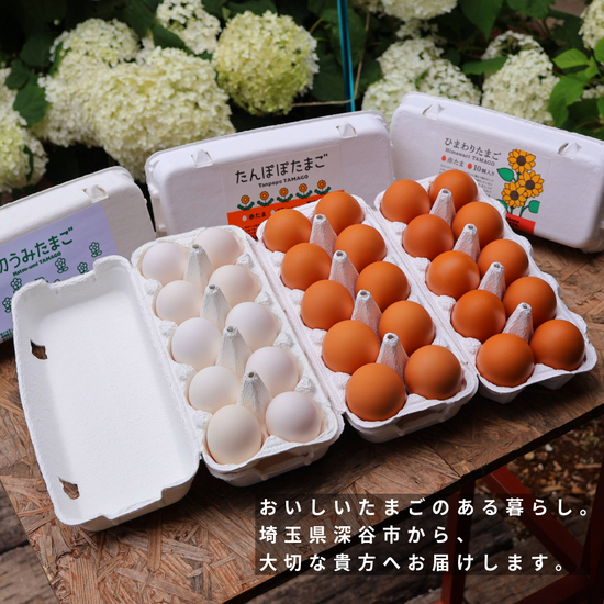 【御中元】3種のこだわりたまごギフト