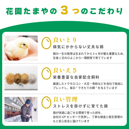 初うみたまごと選べるスイーツSET