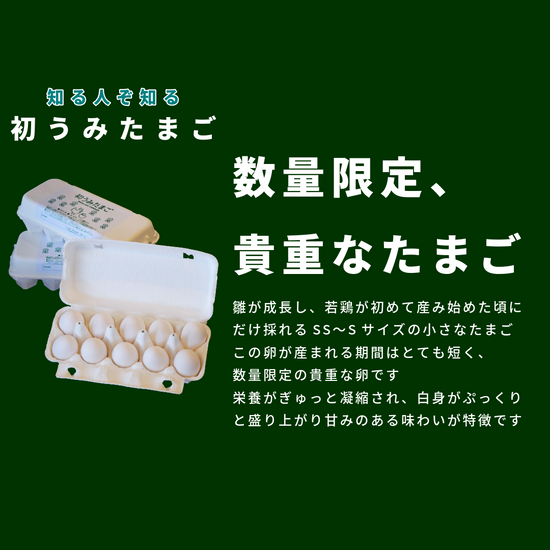 初うみたまごと選べるスイーツSET