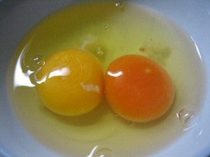卵黄色の濃い薄いについて