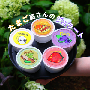 極上ジェラート5種セットがオンラインショップに新登場🍨