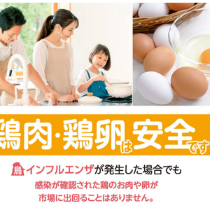 鶏肉・鶏卵は安全です。
