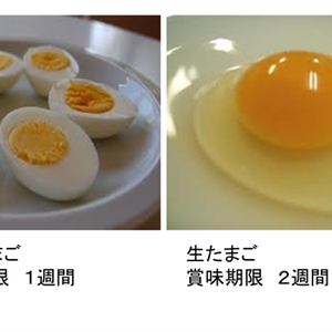 リゾチウム
