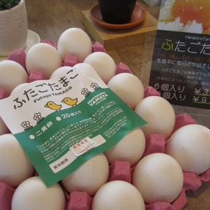 ラッキーな卵　ふたごたまご