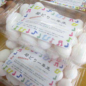 「若どり一年生」販売の時期になりました。