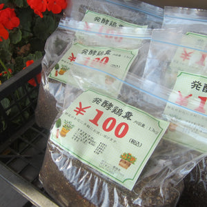 お庭で家庭菜園をしてみませんか？