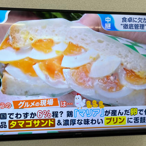 マリアのタマゴサンド1号🍳