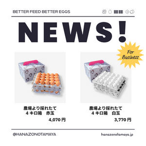 4キロ箱できました！