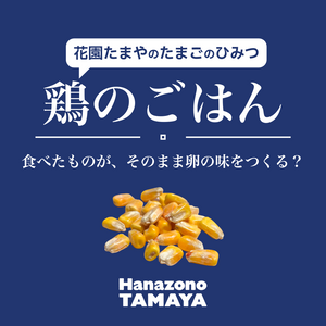 鶏たちはなにを食べているの？