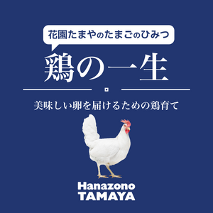 美味しい卵を届ける鶏たちの一生