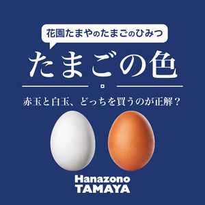 赤玉と白玉、どっちを買うのが正解？