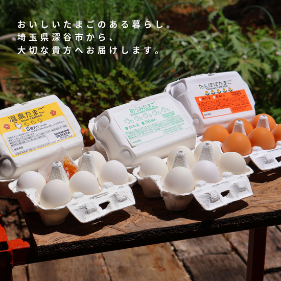 【敬老の日】毎日元気に過ごしてね　「まごころ長寿たまごセット」