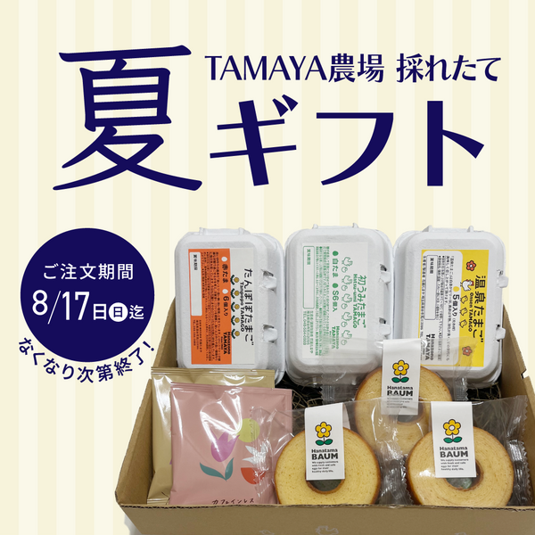 TAMAYA農場 夏ギフト