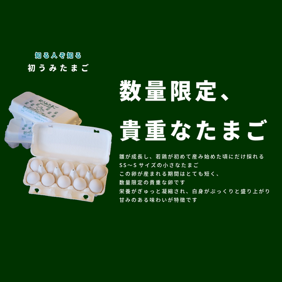 簡単！卵かけごはんSET Neo